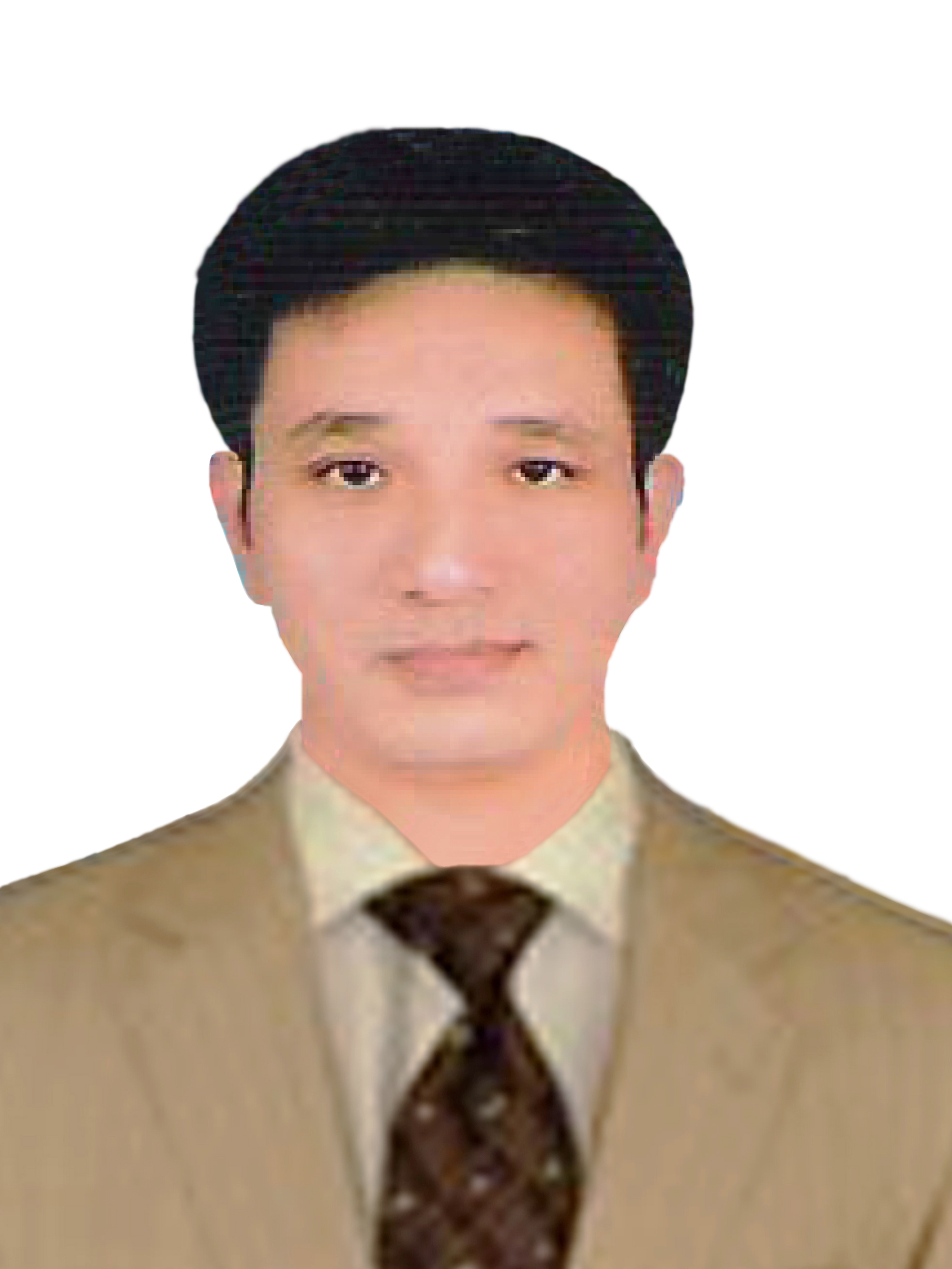 Nguyen Van Dao, Ph.D.